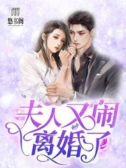 夫人又闹离婚了