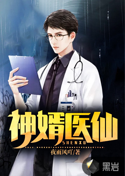 神婿医仙