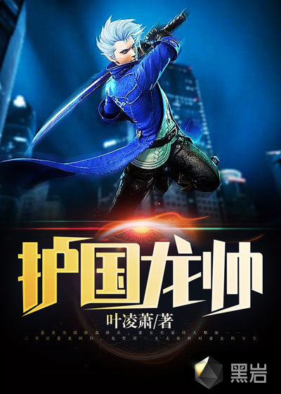 护国龙帅
