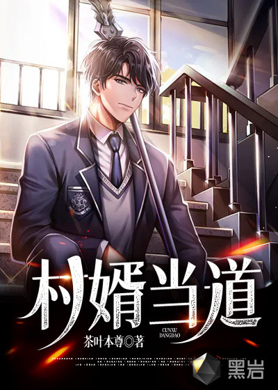 村婿当道