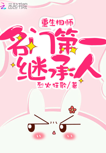 重生名门第一继承人