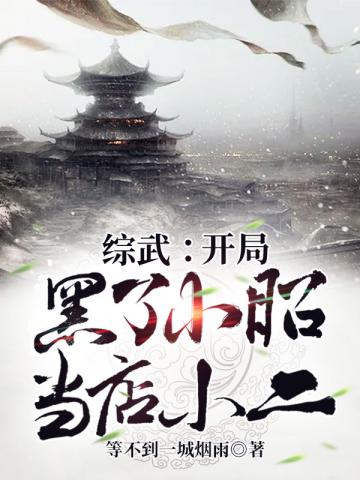 综武开局黑了小昭当店小二