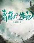 青藤凡修记
