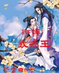 红楼：我为王