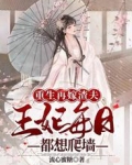 重生再嫁渣夫，王妃每日都想爬墙