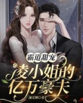 霸道甜宠：凌小姐的亿万豪夫