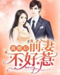 离婚后，前妻不好惹