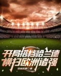 开局搭档哈兰德，横扫欧洲诸强