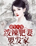 重生八零：泼辣肥妻要发家