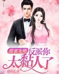 甜蜜宠婚：反派你太黏人了