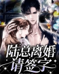 陆总离婚请签字