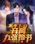高手下山：开局九张婚书