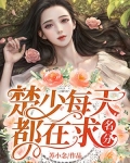 楚少每天都在求名分