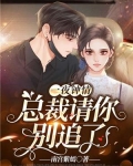 一夜钟情：总裁请你别追了
