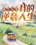 重生九零：我的逆袭人生