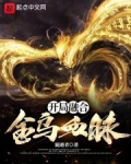 开局融合金乌血脉