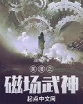 美漫之磁场武神