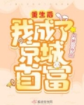 重生后我成了京城首富