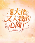 救命！大佬又入我的心网了