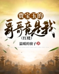 贾宝玉的哥哥竟是我（红楼）