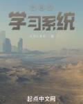 学霸的学习系统