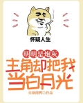 明明是炮灰，主角却把我当白月光