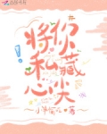 将你私藏心尖