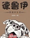 德鲁伊的乡村退休生活