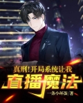 真刑！开局系统让我直播魔法