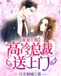 宠妻上瘾，高冷总裁送上门