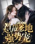 娇妻在上：总裁爹地强势宠！