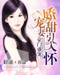 娇宠甜妻引入怀