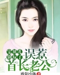 误惹高冷老公：宝贝儿，别玩了