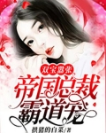 双宝嚣张：帝国总裁霸道宠