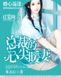 总裁的心尖暖妻