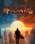 身负双魂