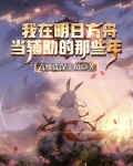 我在明日方舟当辅助的那些年