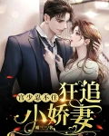 宫少忍不住：狂追小娇妻