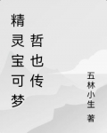 精灵宝可梦 哲也传