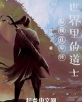纵横在巫师世界里的道士