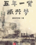 五年一觉振兴梦