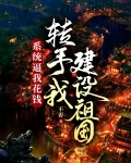 系统逼我花钱，转手我建设祖国