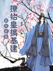 我带系统撩始皇搞基建
