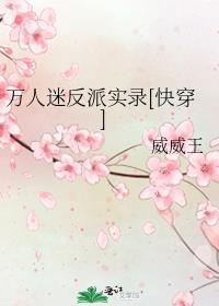 万人迷反派实录[快穿]