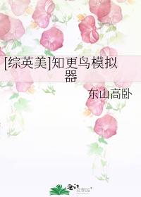 [综英美]知更鸟模拟器