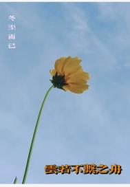 云若  不系之舟