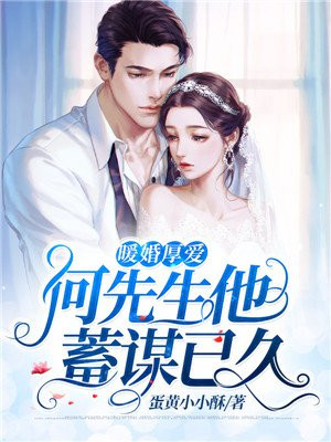 暖婚厚爱：何先生他蓄谋已久