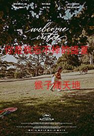 你是我忘不掉的盛夏