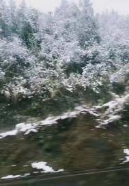 游向岛屿