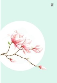 战冷落之光